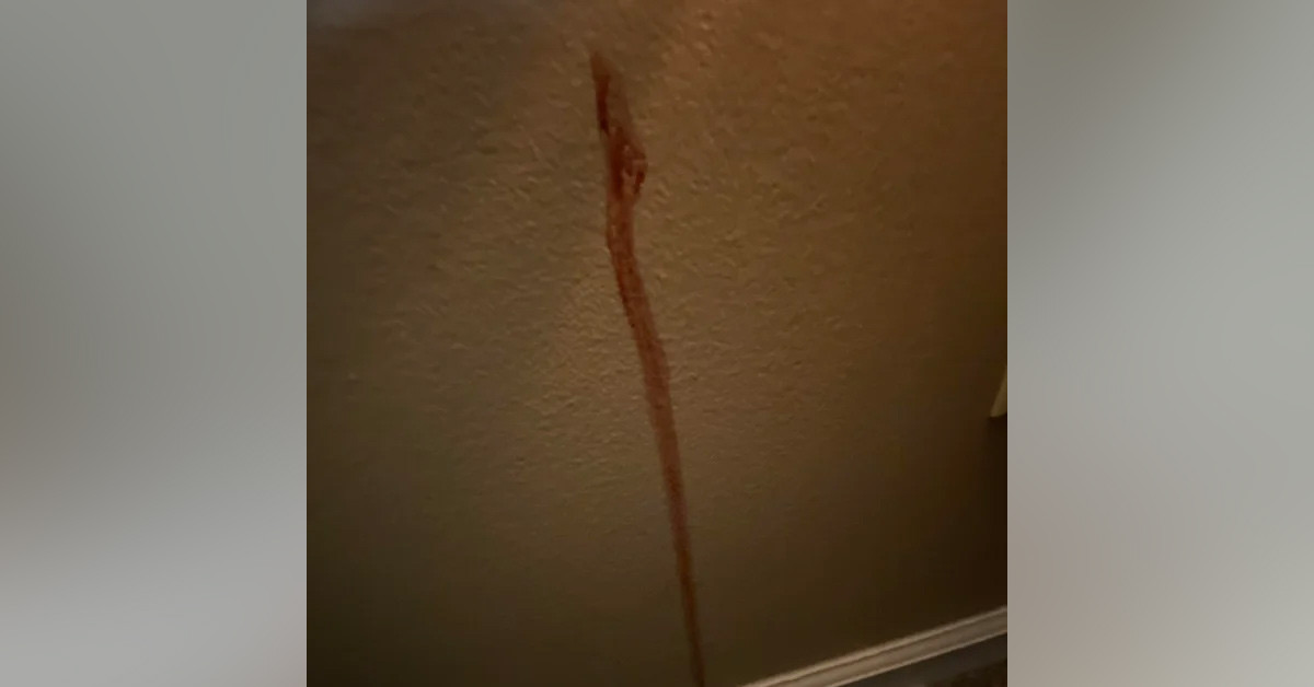 Görüntüler büyük yankı uyandırdı