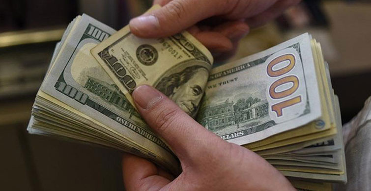 FIRSATLARI KAÇIRMAYAN DÖVİZ BİRİKTİRDİ