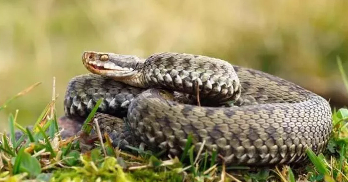 Bu konuda eğitimliler