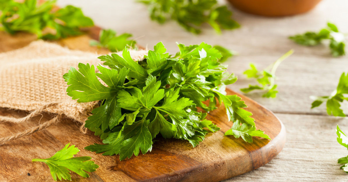 Maydanozun yan etkileri var mı?