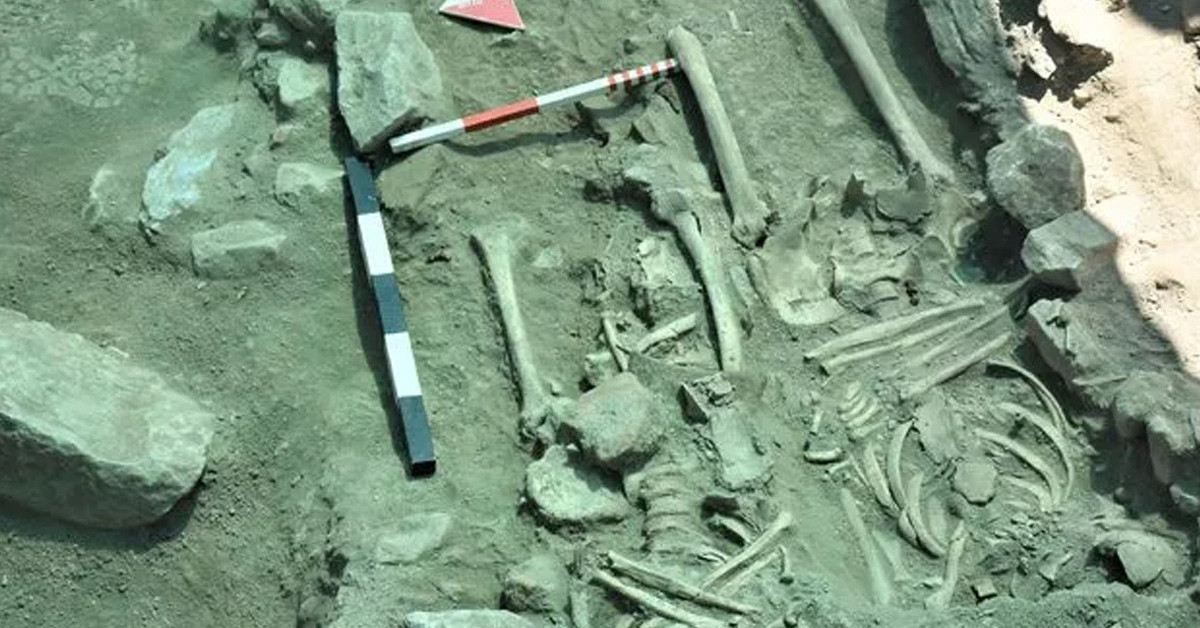 İskelet fışkırdı!