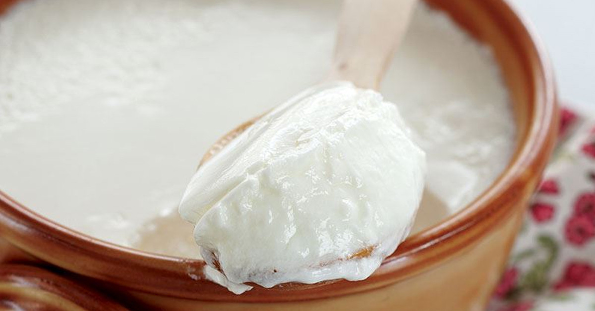 YOĞURDUN MUCİZELERİ