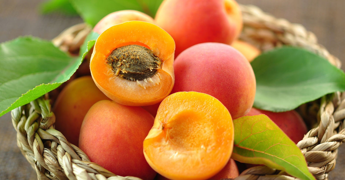 Kayısı : 4 taneyi aşmayın