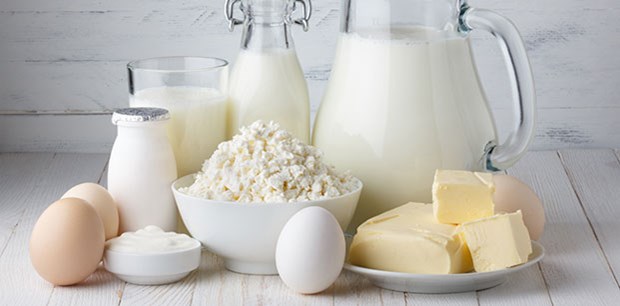 Süt, Yoğurt, Peynir