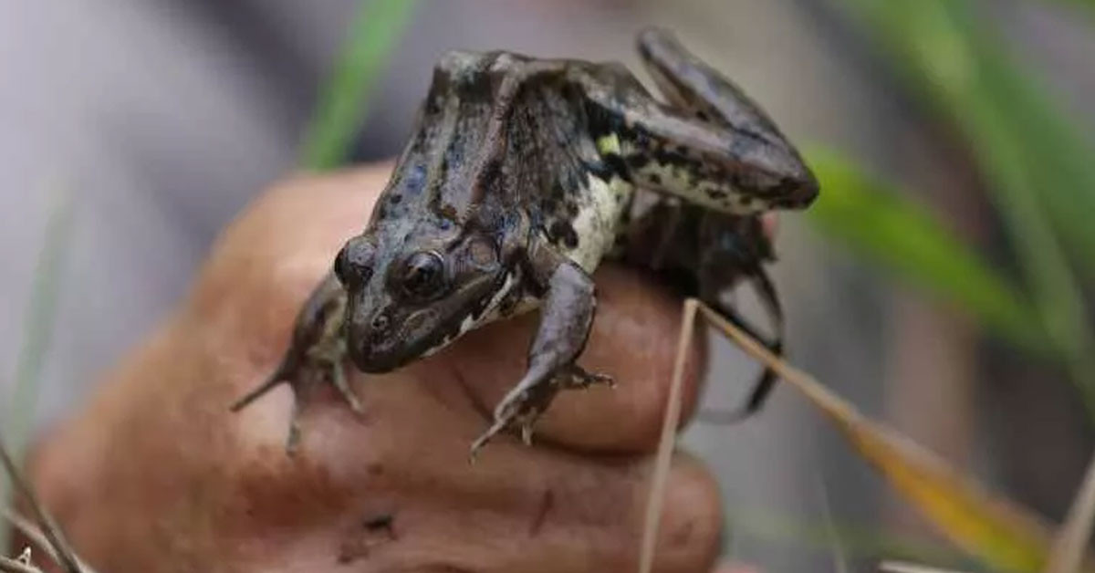 BAZEN SUDA NELERLE KARŞILAŞACAĞIMIZI BİLEMİYORUZ