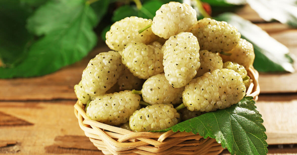 Dut: 10 taneyi aşmayın