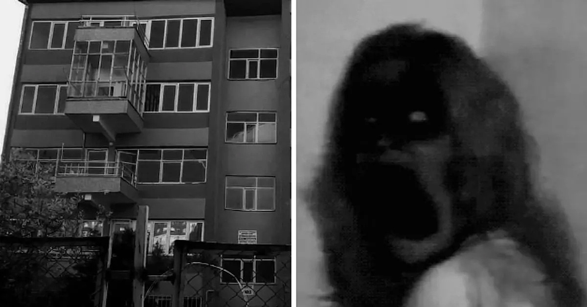 4- 129 No'lu Apartman