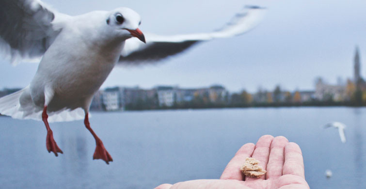 Peki Bu Durum Engellenebilir mi?