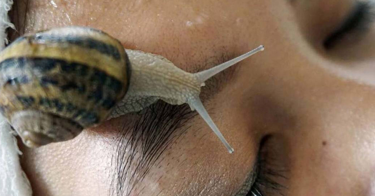 Bakteri ve virüslere karşı koruma 