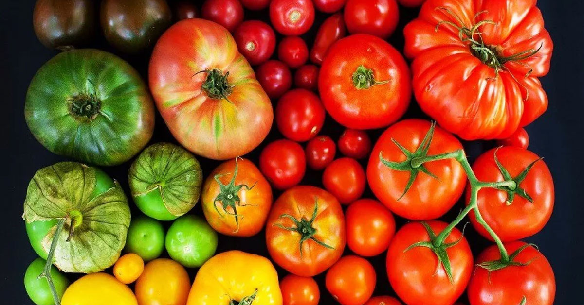 Potasyum Kaynağıdır 