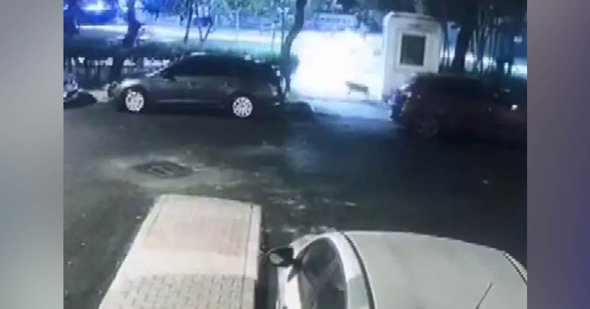 Gözaltına alındılar