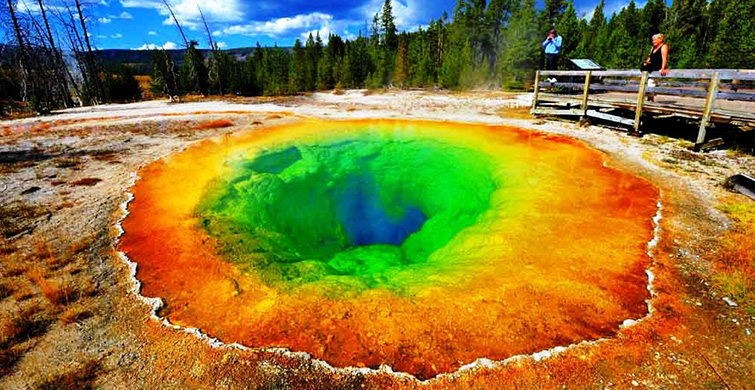 YELLOWSTONE ULUSAL PARKI (ABD)
