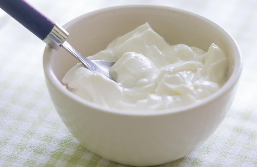 B Vitaminlerinin Üretimini Sağlar