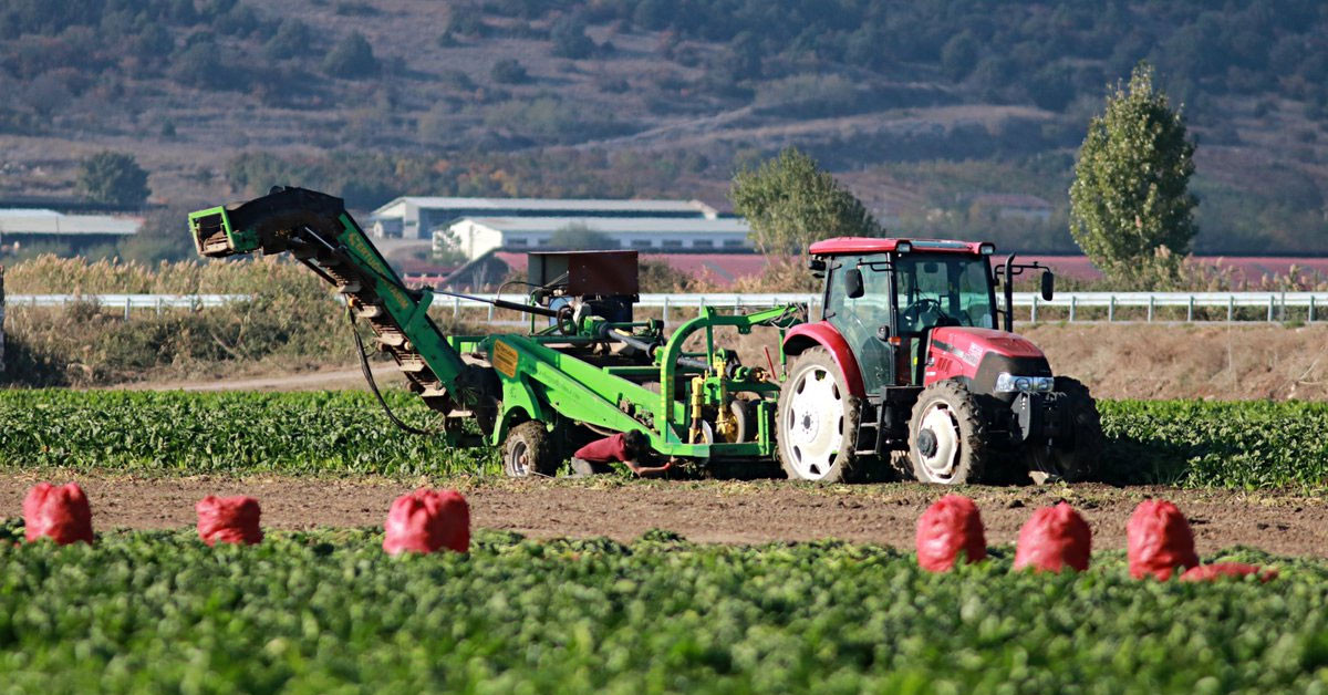 ARICILARA KOVAN BAŞINA 15 LİRA DESTEK