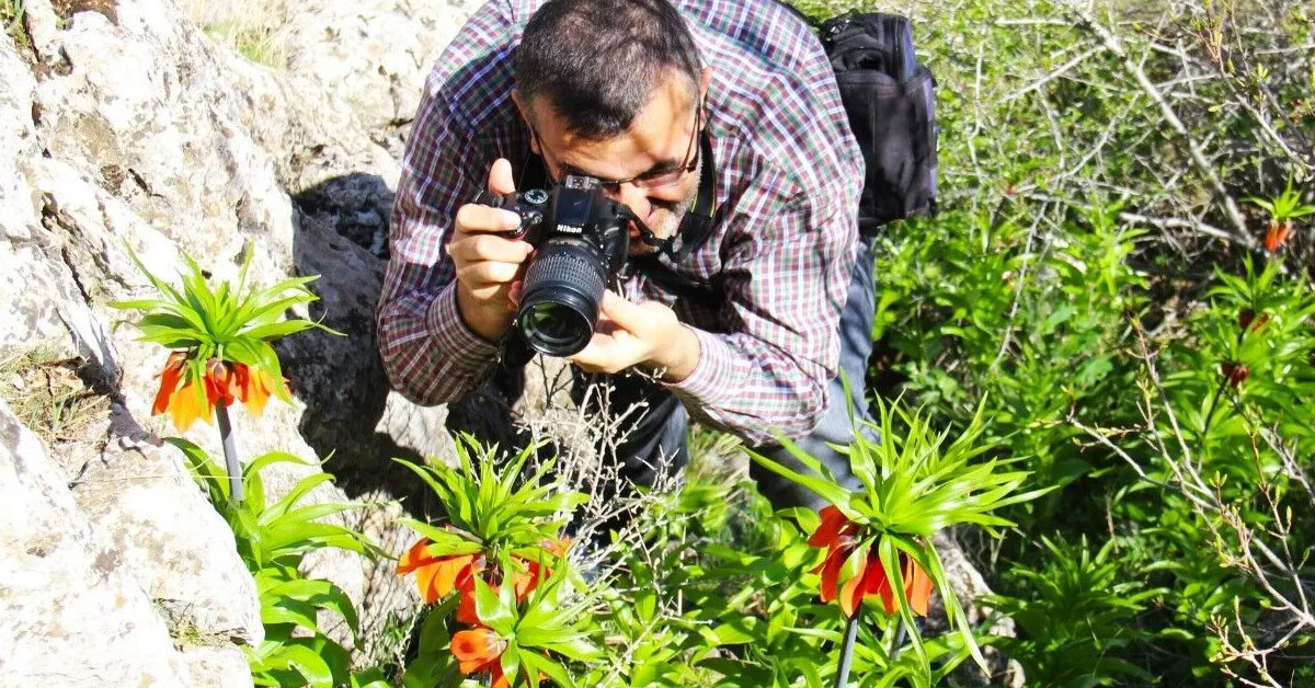 Laleler doğanın gizli yerlerinde bulunuyorlar!