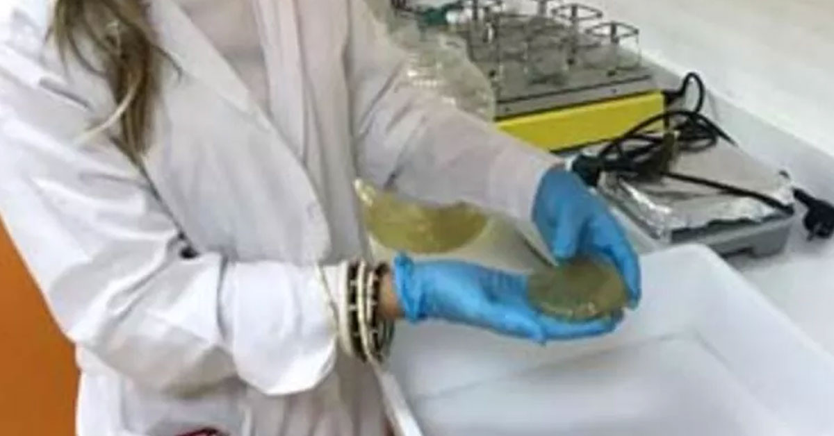 KAŞ KIYILARINDA YOĞUN GÖZLENDİ 