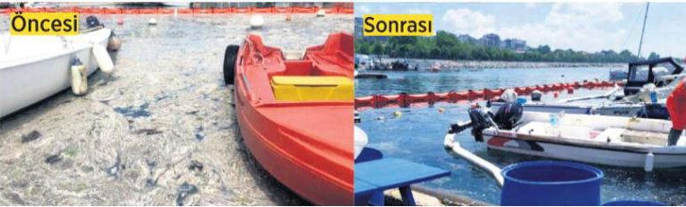 Marmara Denizi'ne Karadeniz’den Organik Karbon Yağıyor Marmara Denizi'ne Karadeniz’den Organik Karbon Yağıyor