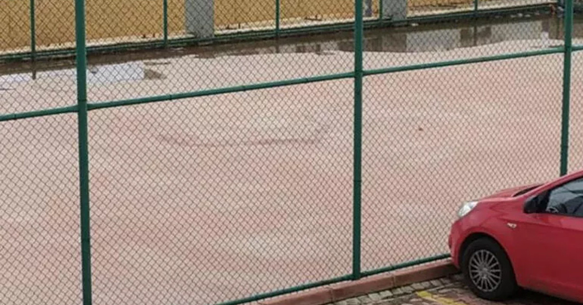 pitbull saldırısı pitbull saldırısı