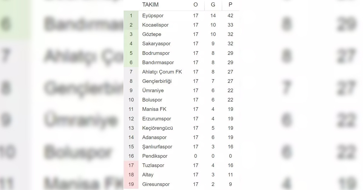 1. Lig Puan durumu