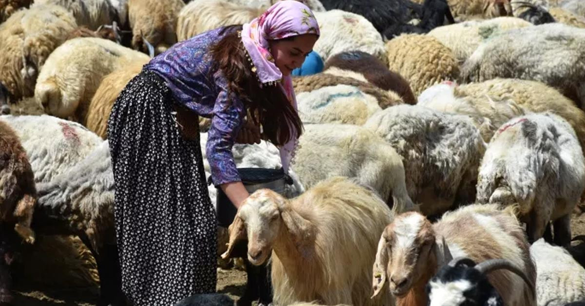 10 kadına öncülük etti 10 kadına öncülük etti