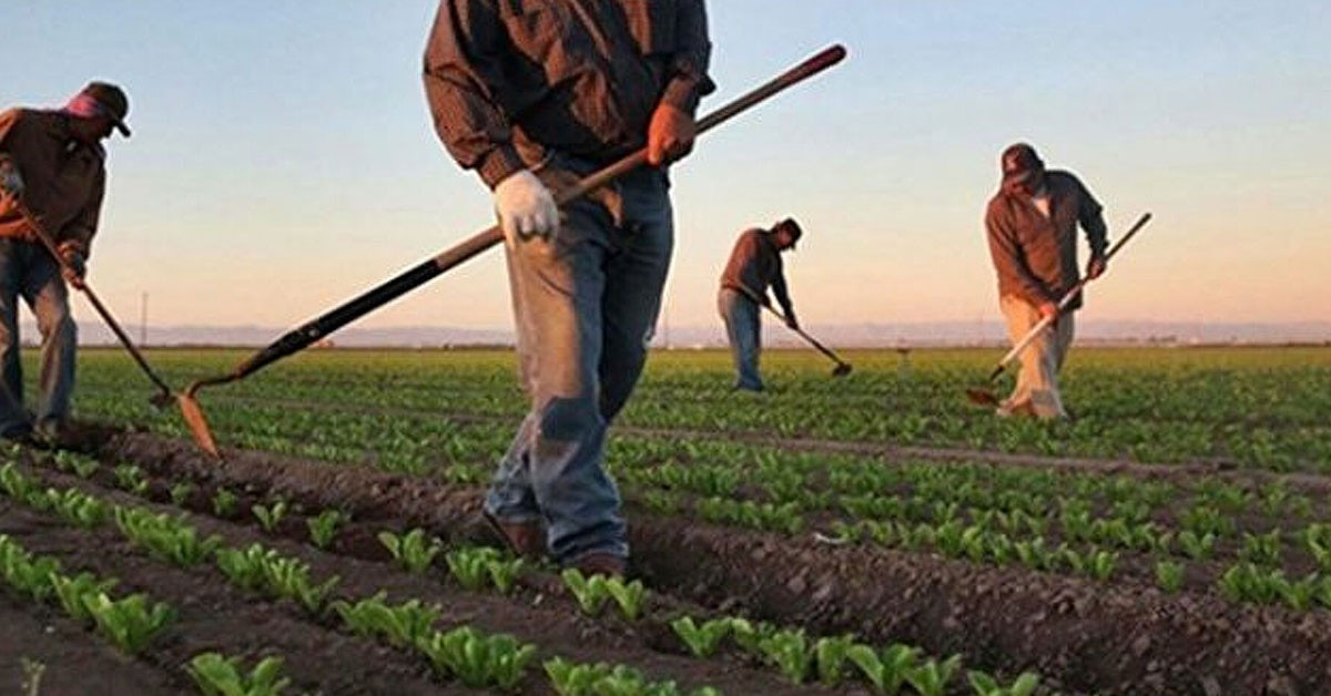 Çevre, Şehircilik ve İklim Değişikliği Bakanı Murat Kurum