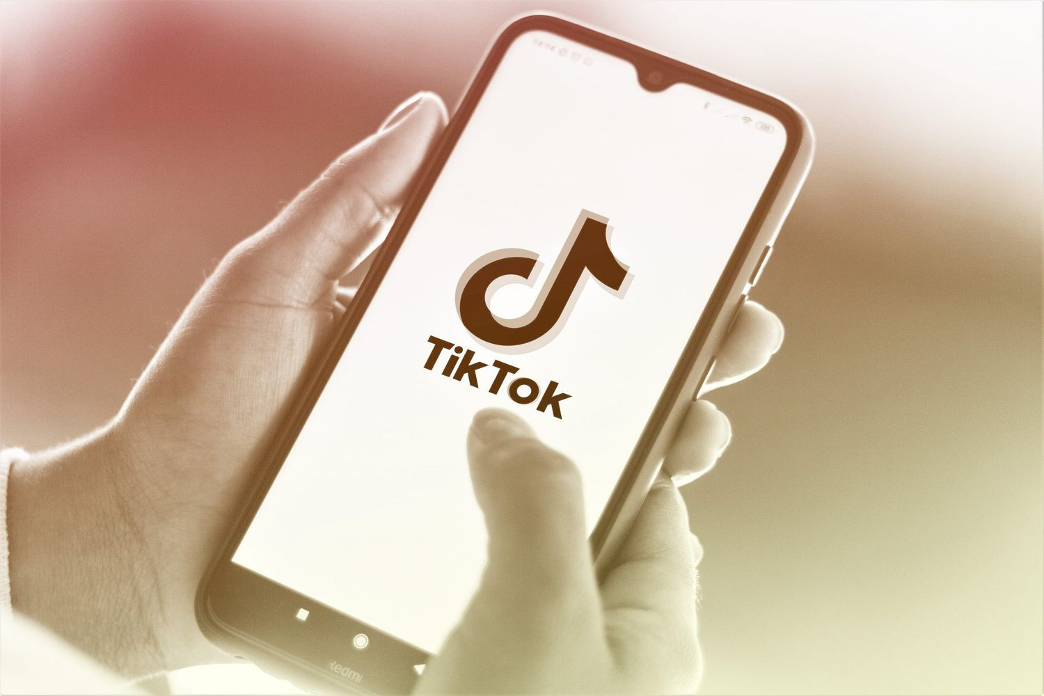 2024 TikTok keşfete düşme