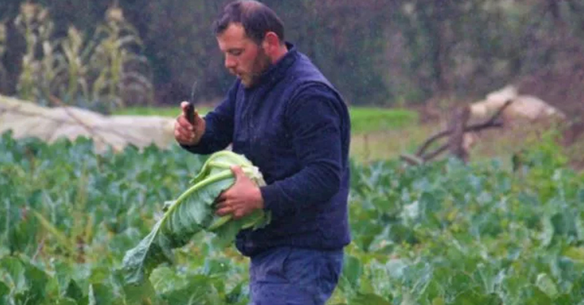 Tarım Tarım