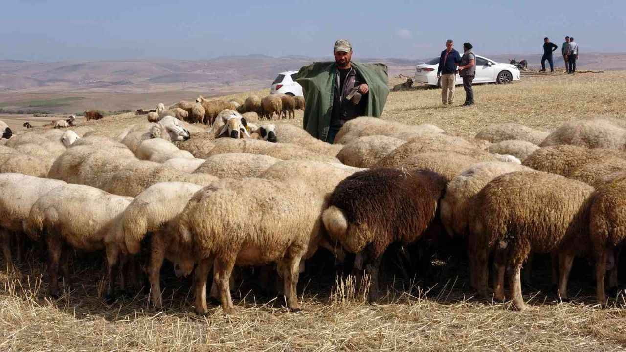 42.000 TL maaşa ek karavan ev alabiliyorsunuz! O mesleği yapana imkân bol
