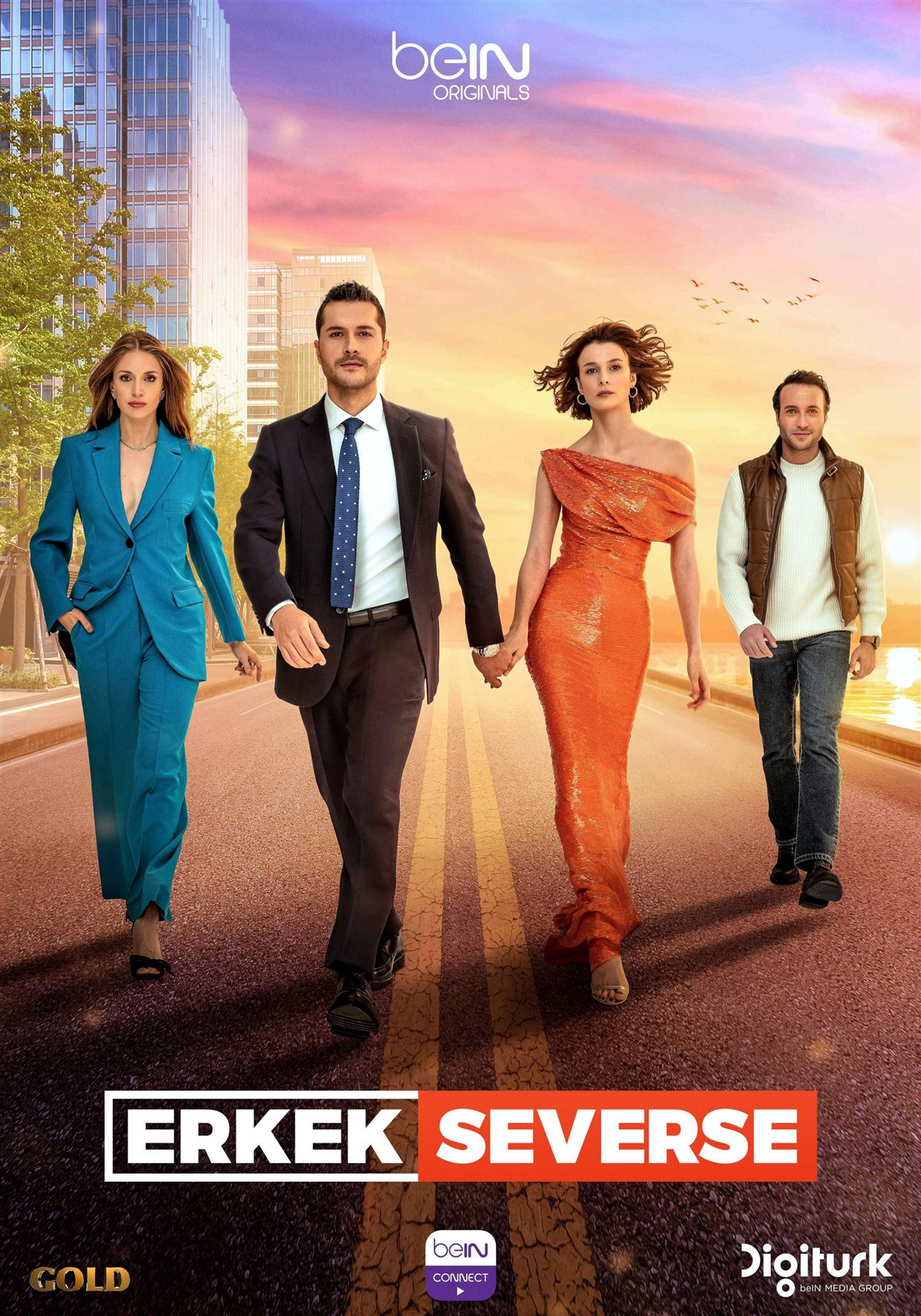 Erkek Severse Dizi Afişi
