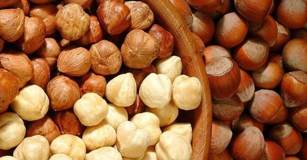 Fındık Ne Kadar?
