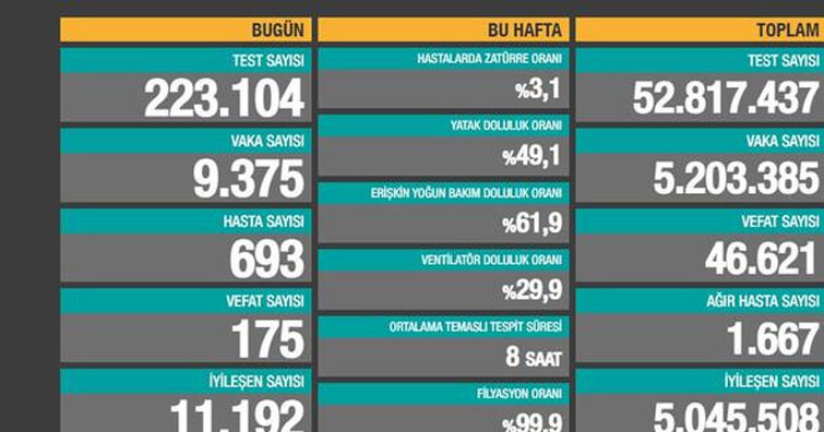 25 mayıs koronavirüs tablosu
