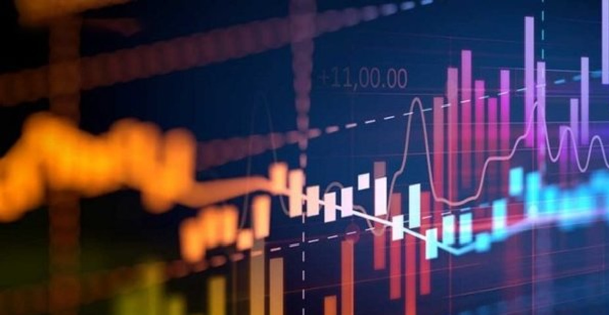 Smart Güneş Enerjisi ve Ensari Deri halka arz ne zaman?