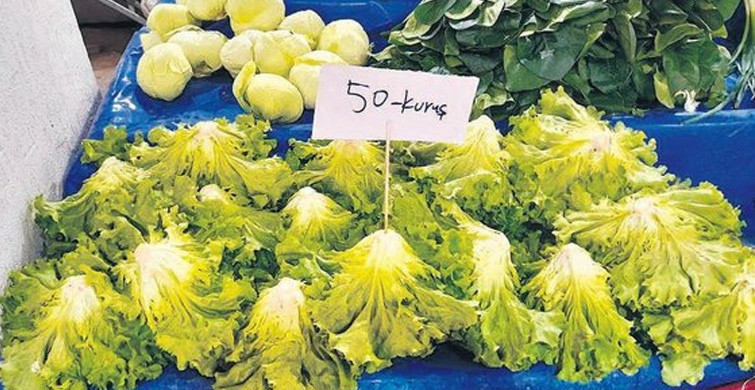 Serada 20 Kuruştan Satılan Marul Markette 6 TL!6543546