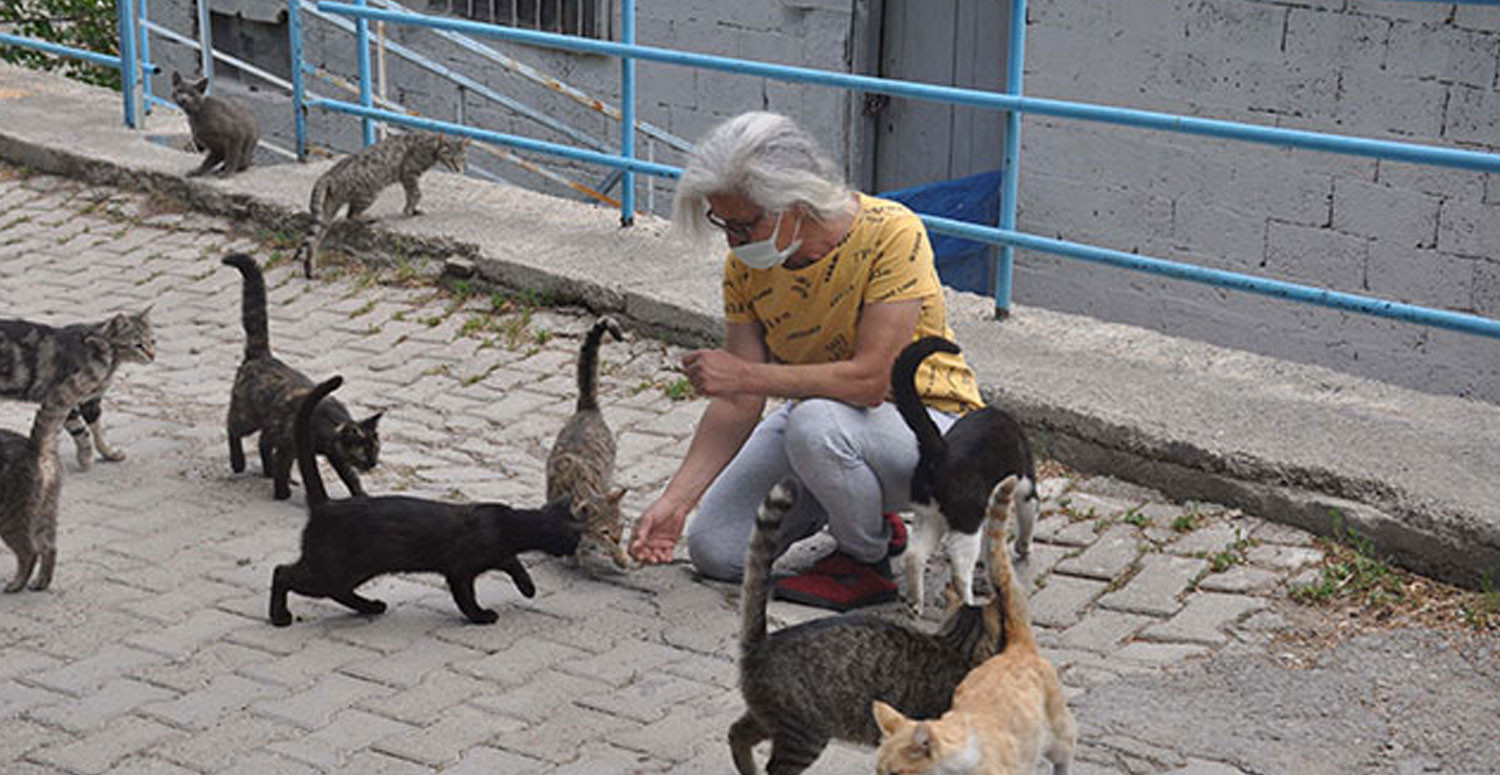 Gümüşhane'de hayvanları besleyen Sevim Köprülü