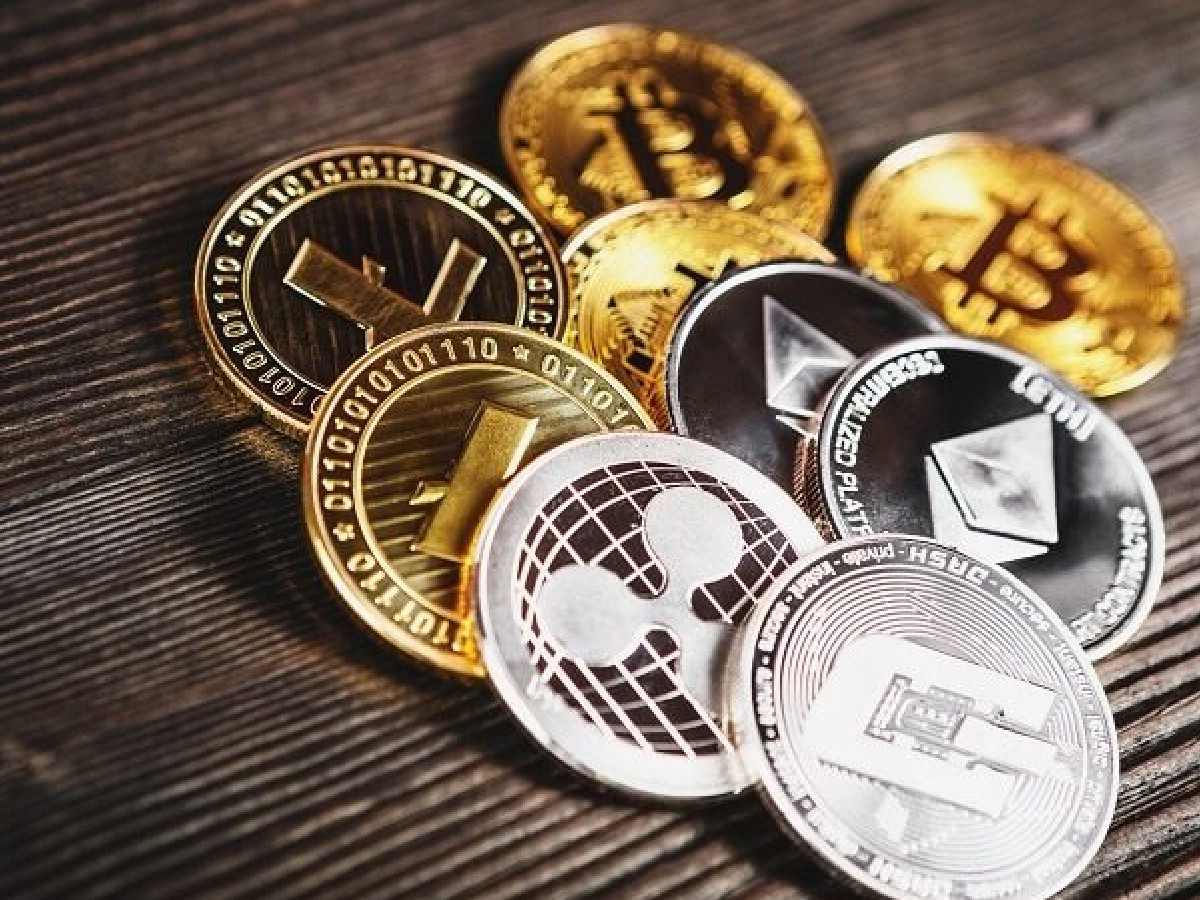 WAN coin geleceği ve yol haritası