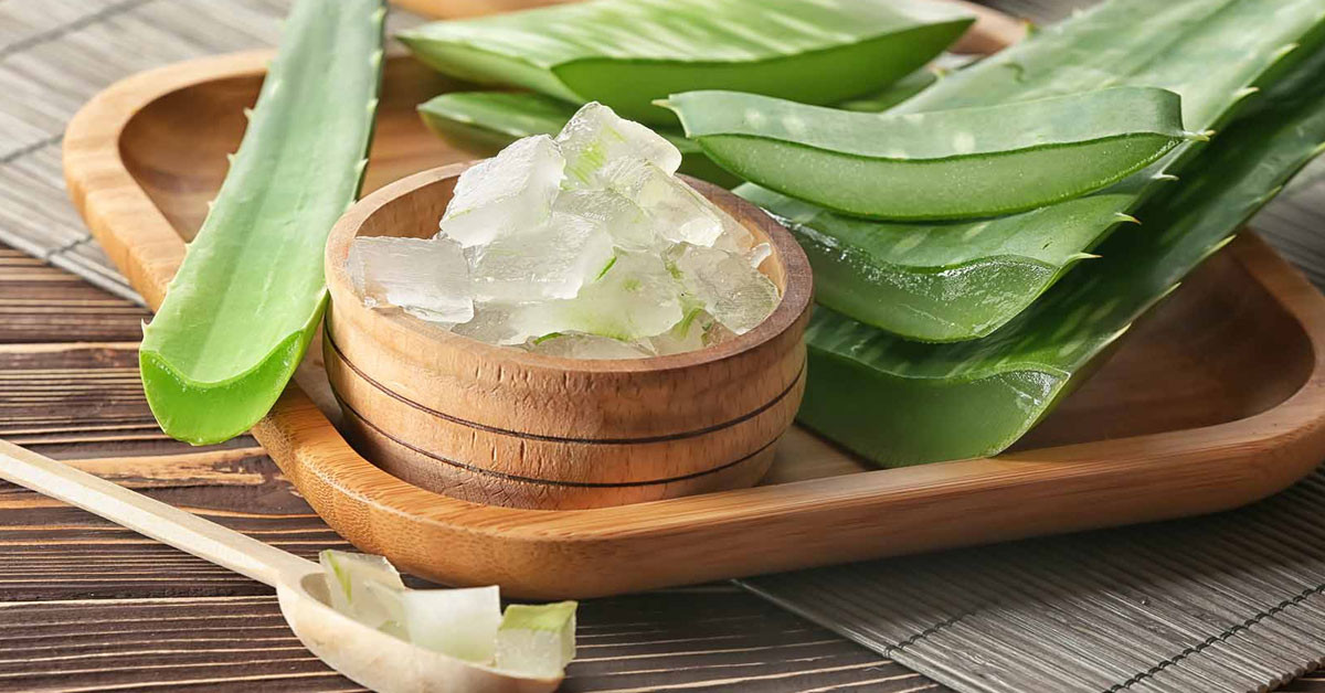 Aloe veranın faydaları nelerdir?