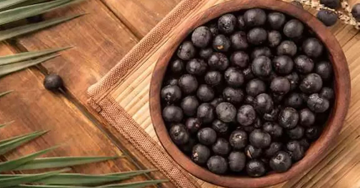 acai üzümü faydaları acai üzümü faydaları