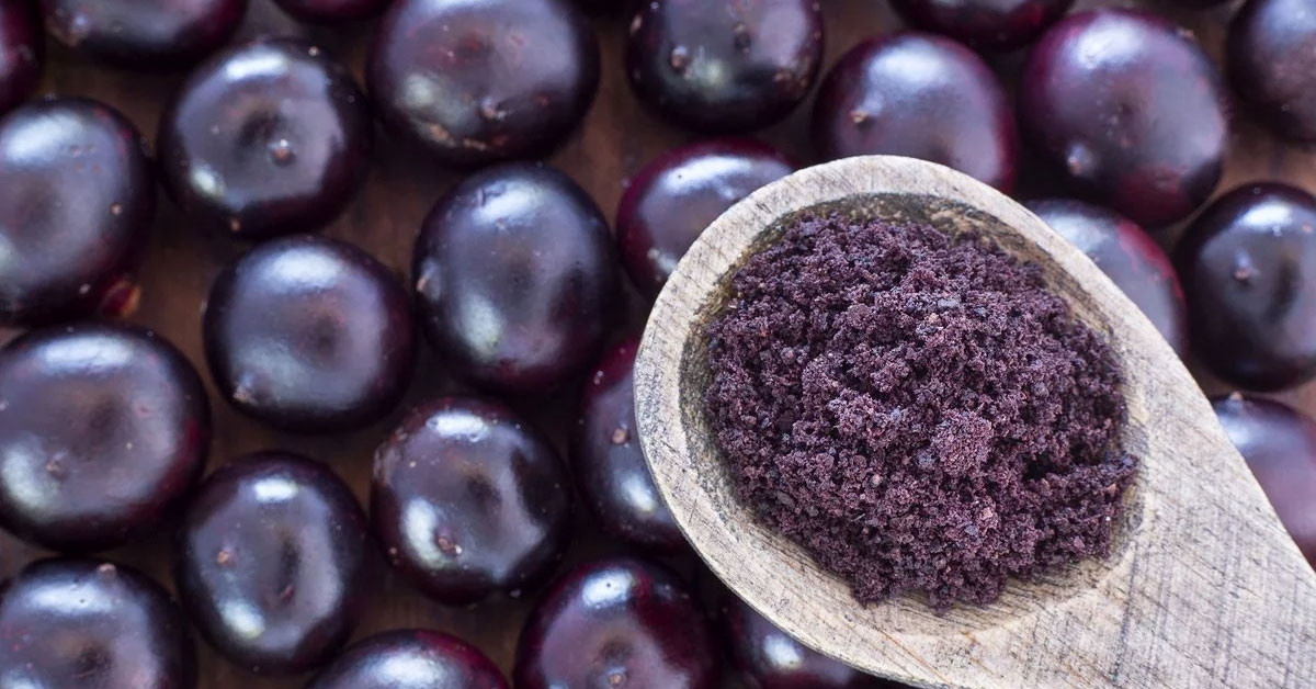 acai üzümü faydaları acai üzümü faydaları