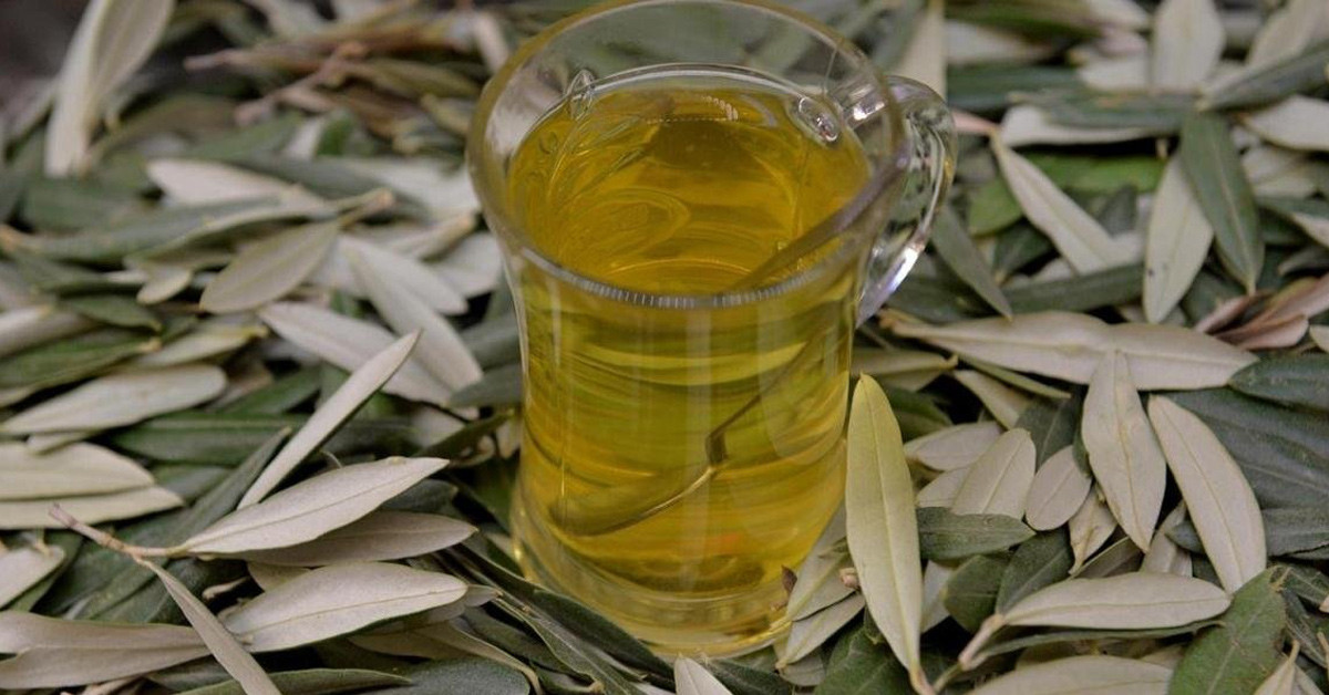 Açlık otu çayı faydaları