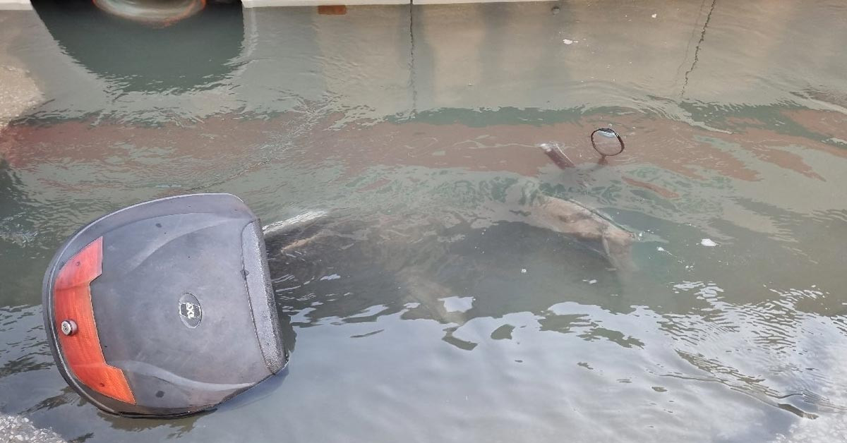 Adana İçme Suyu Borusu Patladı