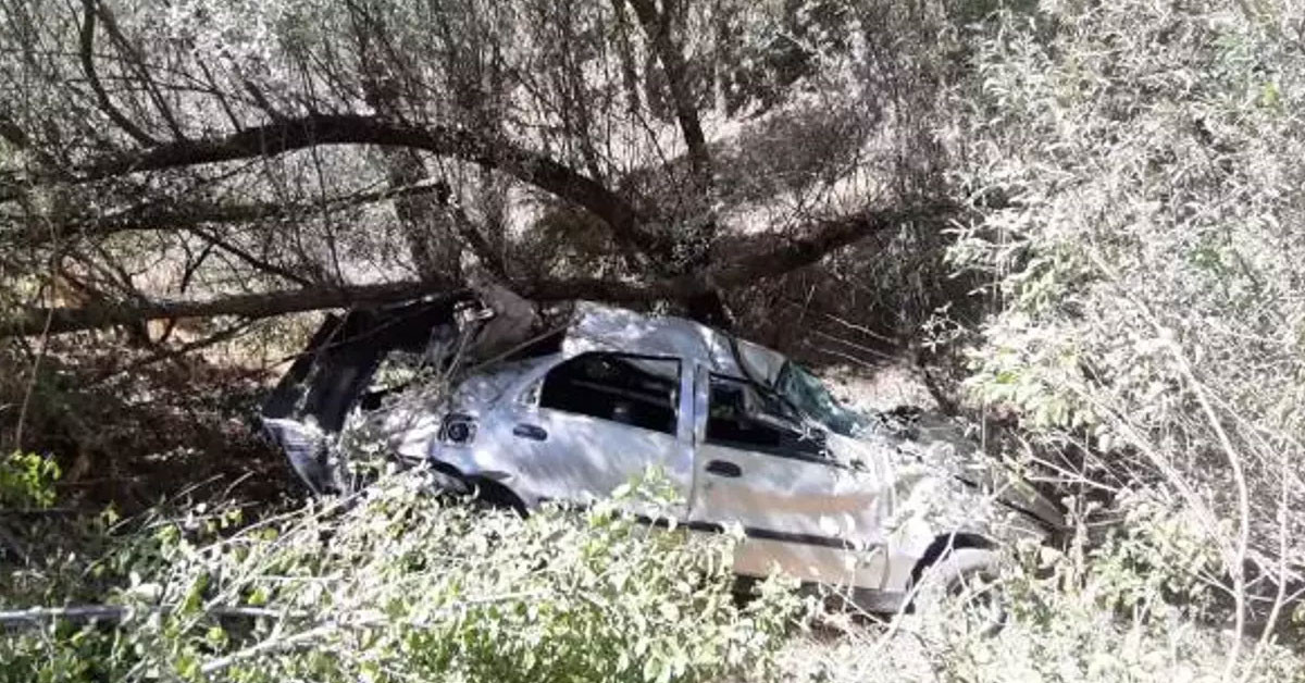 Adana'da trafik kazası