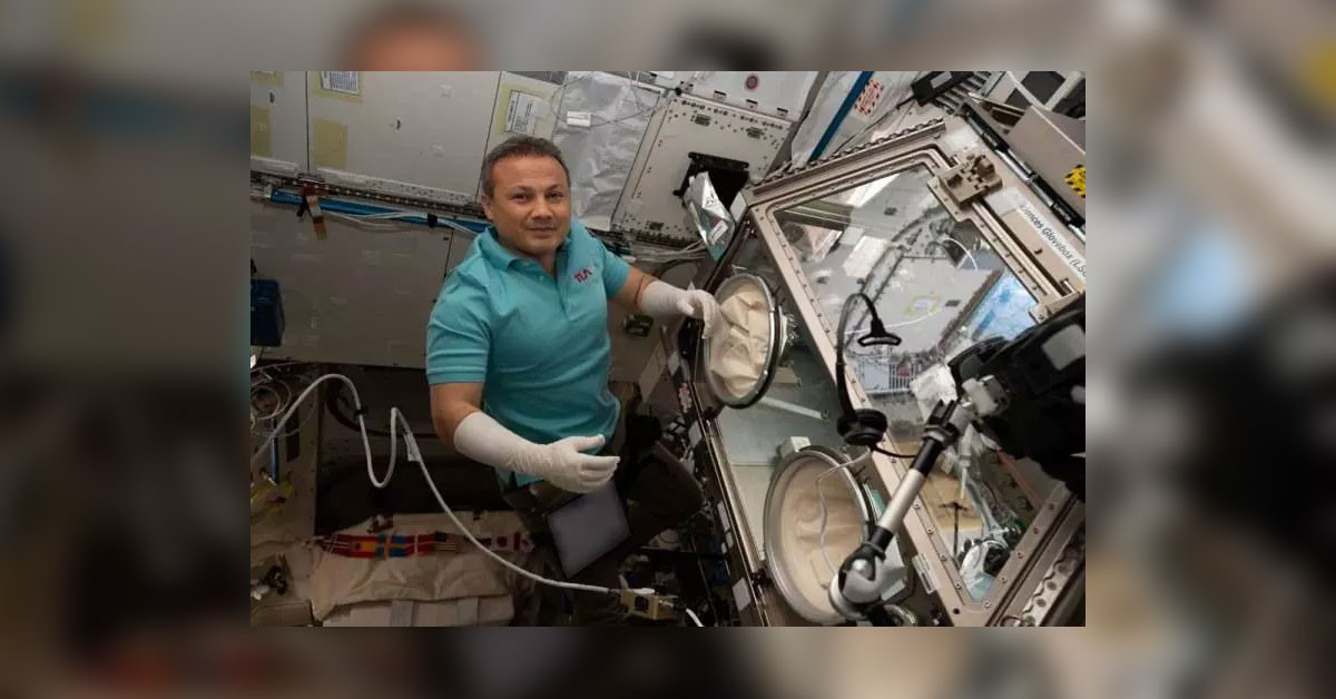 Alper Gezeravcı'nın Uluslararası Uzay İstasyonu'ndaki (ISS) çalışmaları sırasında gerçekleştirdiği 13 deneye ait örnekler, geçen hafta dünyaya ulaştığı öğrenildi. Alper Gezeravcı'nın Uluslararası Uzay İstasyonu'ndaki (ISS) çalışmaları sırasında gerçekleştirdiği 13 deneye ait örnekler, geçen hafta dünyaya ulaştığı öğrenildi.