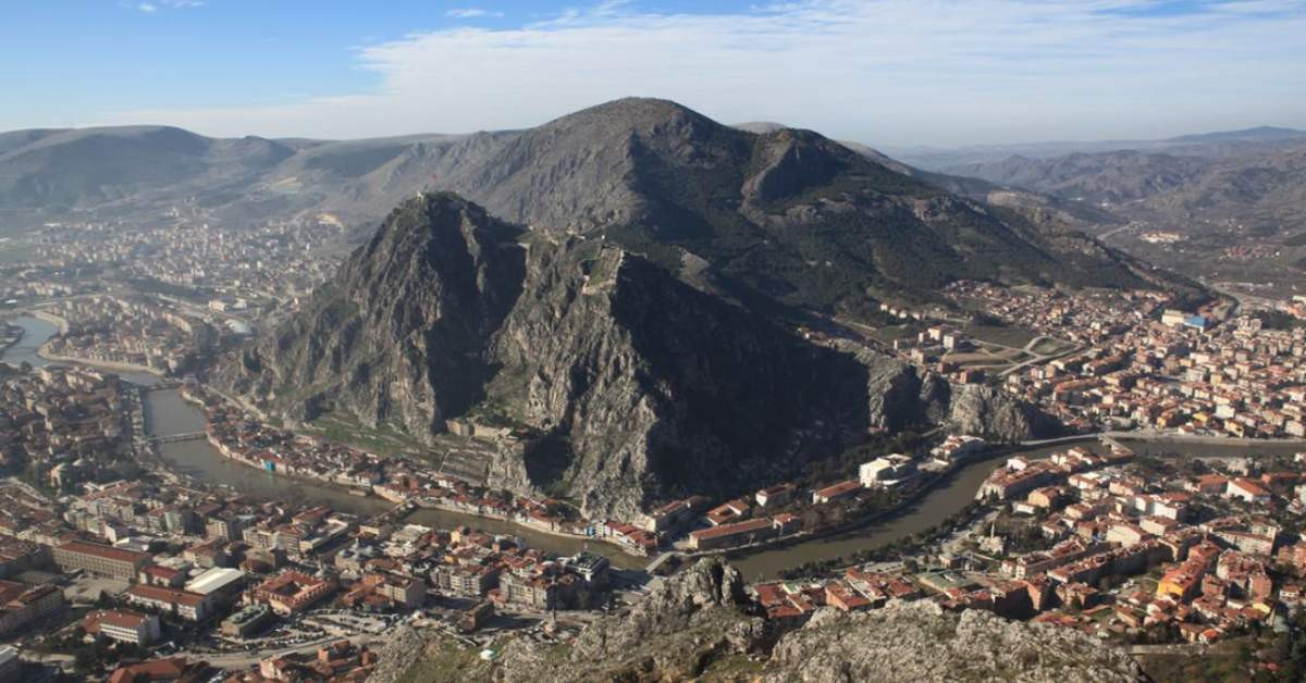 Amasya Çakal-1