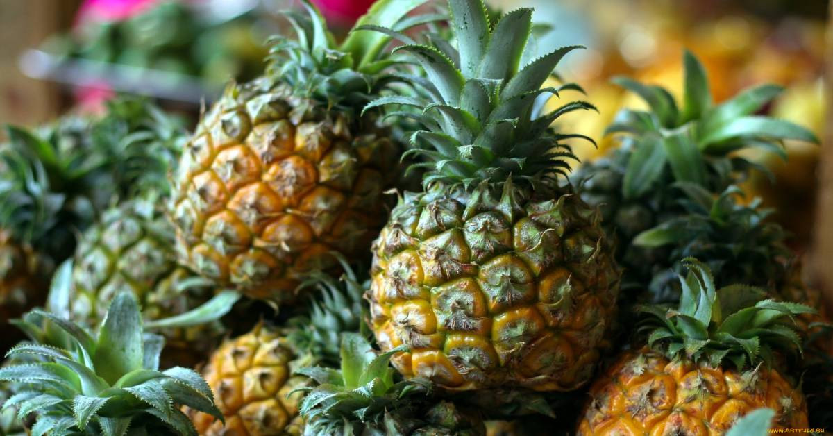 Ananas Ananas