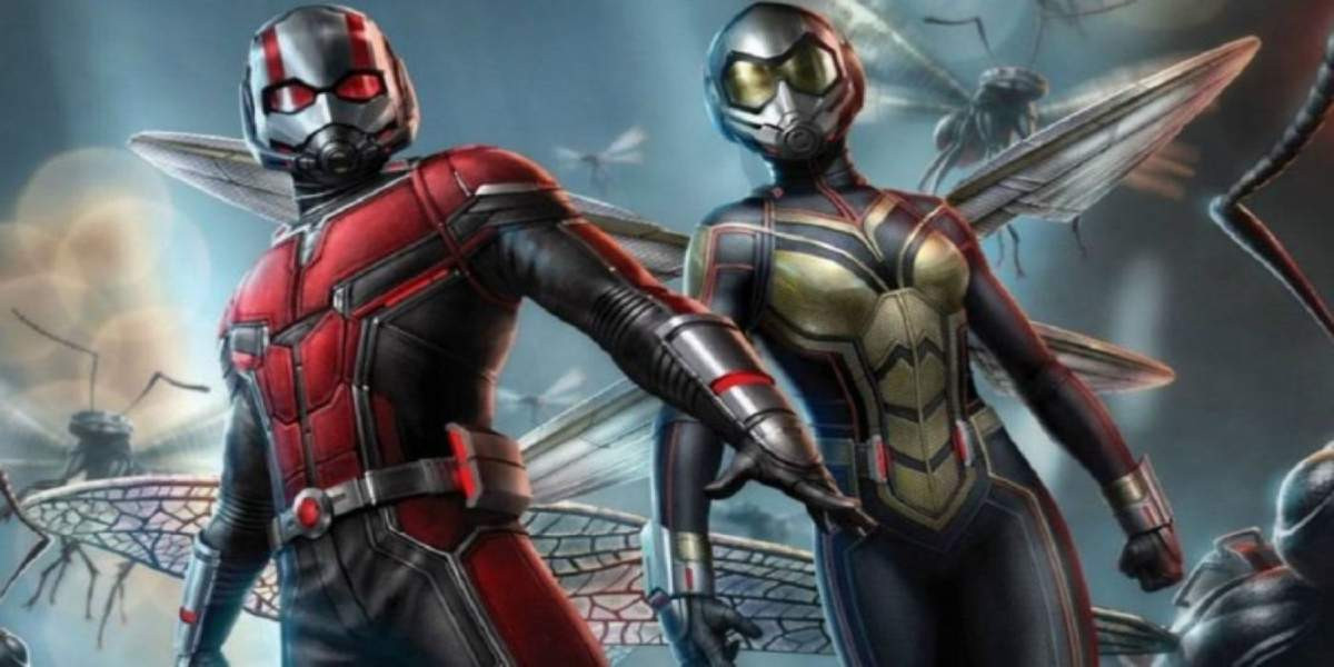 ANT MAN and WASP ANT MAN and WASP