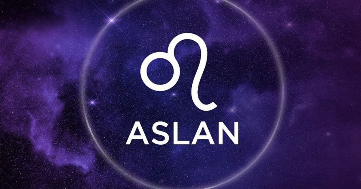 aslan burcu aslan burcu