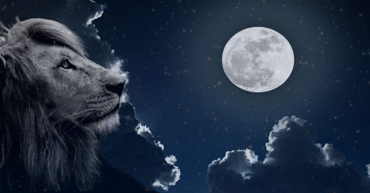 Aslan Dolunayı-1 Aslan Dolunayı-1