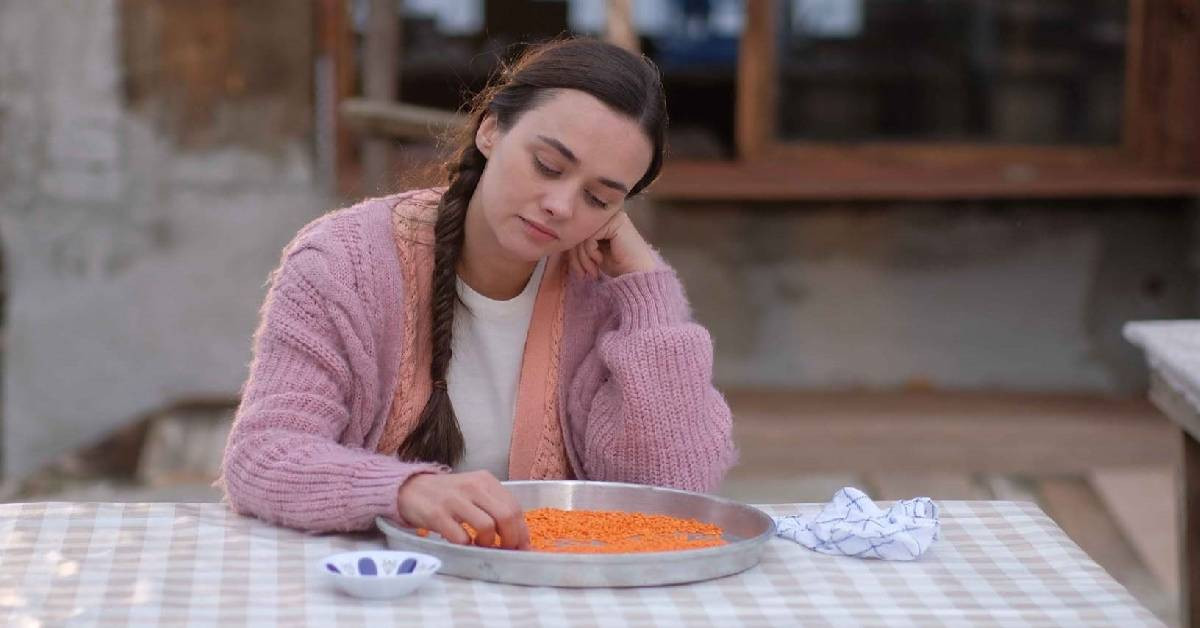 Ateş Kuşları Dizisi