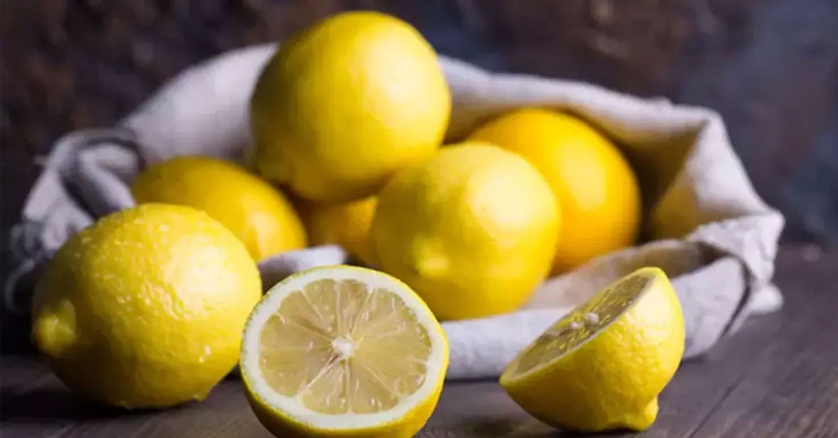 ayaktopuğu limon