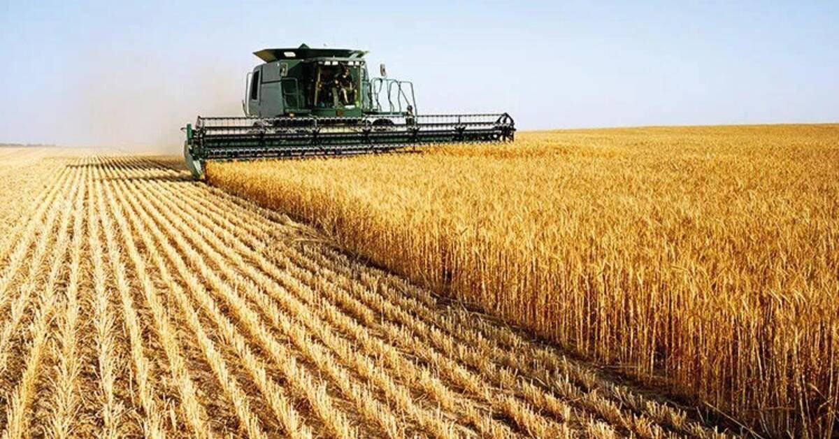 Bakan Kirişçi tarımsal destek ödemeleri